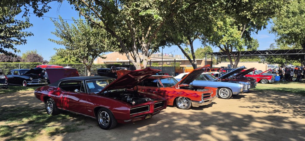 A red 1968 Pontiac GTO leads a row of club Pontiacs with their hoods up under the trees at the 2026 Valley Nationals
